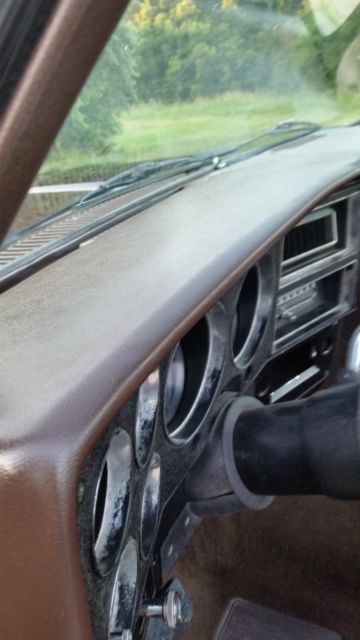 1983 Brown Chevrolet C-10 Standard Cab Pickup