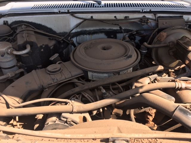 1983 White Chevrolet C20