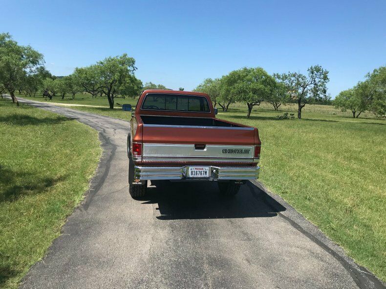 1983 Copper Metallic Chevrolet Other Pickups Pickup Truck