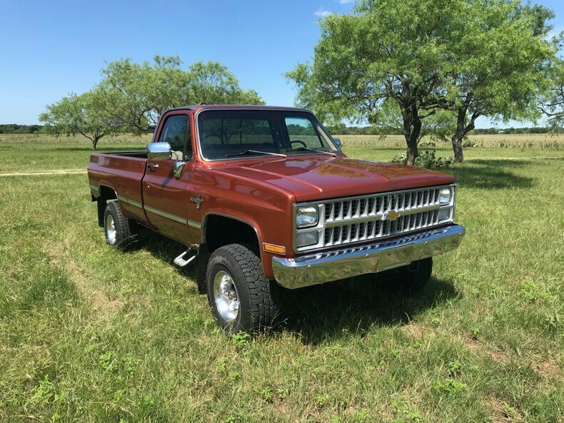 1983 Copper Metallic Chevrolet Other Pickups Pickup Truck
