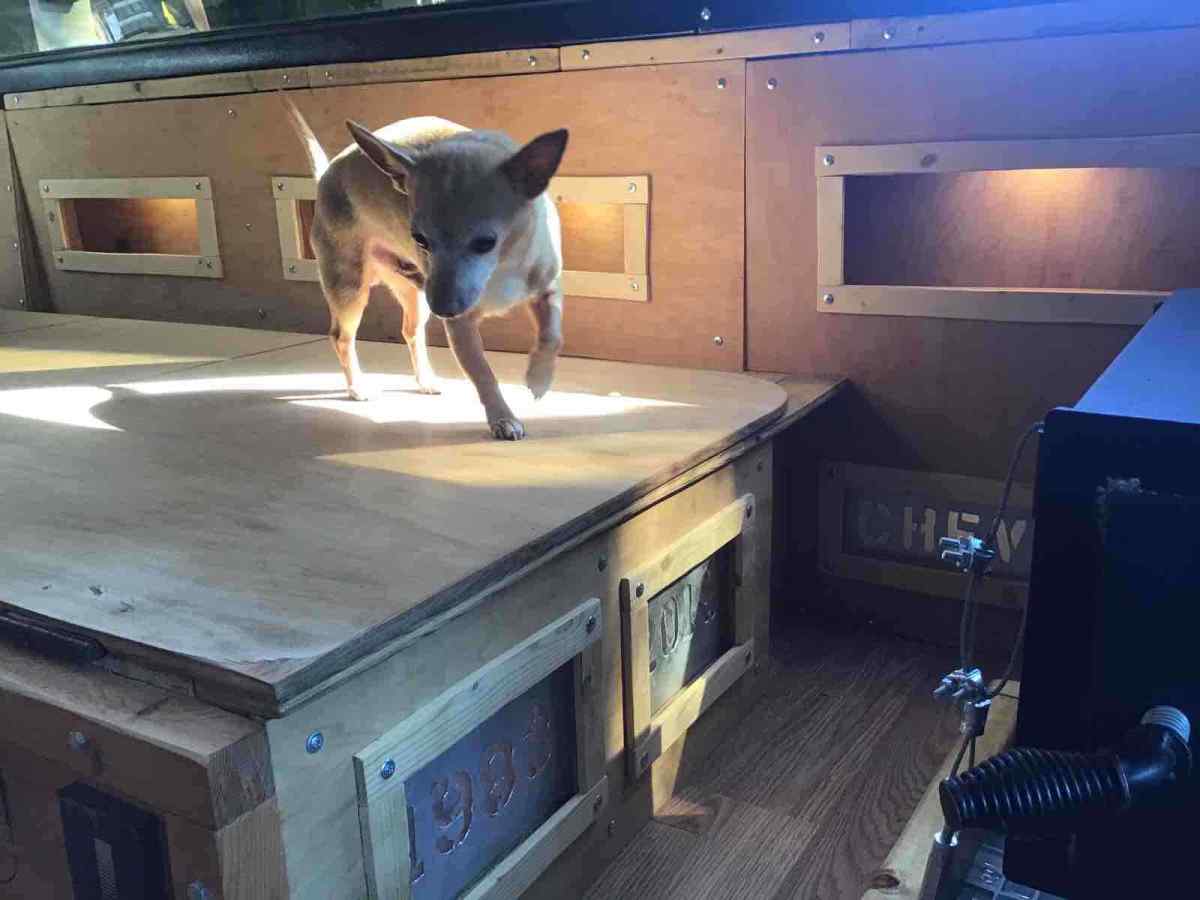 1983 Black Chevrolet G20 Van