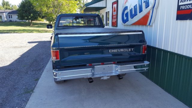 1983 Green Chevrolet C/K Pickup 2500 Standard Cab Pickup