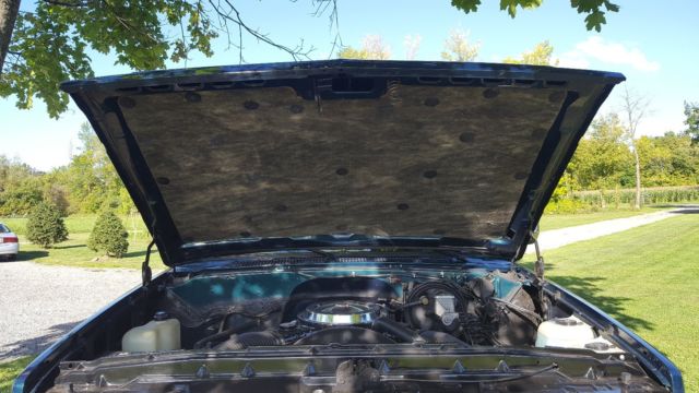 1983 Green Chevrolet C/K Pickup 2500 Standard Cab Pickup