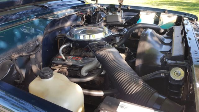 1983 Green Chevrolet C/K Pickup 2500 Standard Cab Pickup