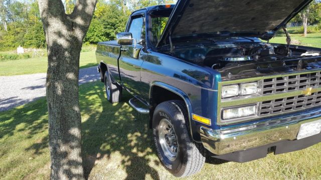 1983 Green Chevrolet C/K Pickup 2500 Standard Cab Pickup