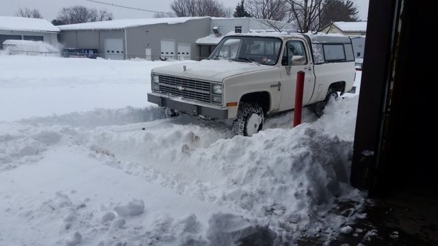 1983 white Chevrolet C/K Pickup 1500 Standard Cab Pickup