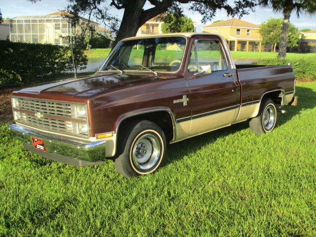 1983 Chevrolet C-10