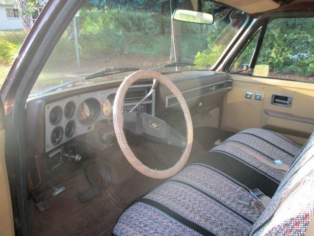 1983 Chevrolet C-10