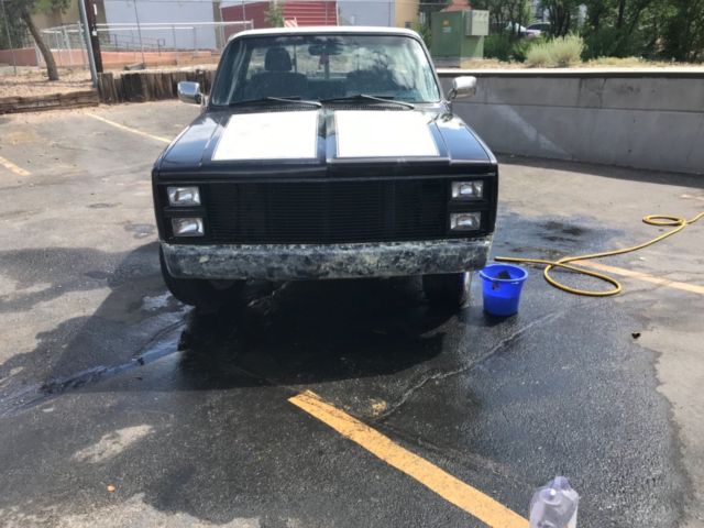 1983 Brown Chevrolet C-10 Standard Cab Pickup