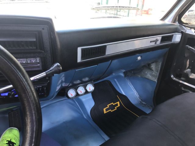 1983 Gray Chevrolet C-10 Standard Cab Pickup