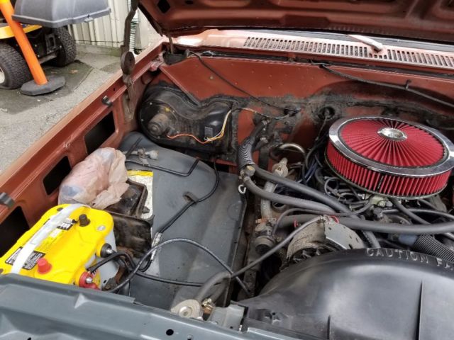 1983 Brown Chevrolet C-10