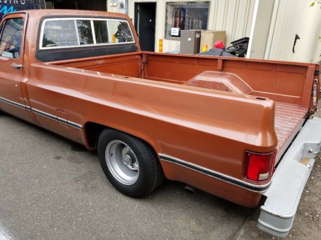 1983 Brown Chevrolet C-10