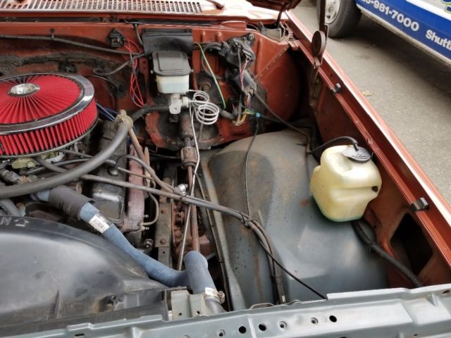 1983 Brown Chevrolet C-10