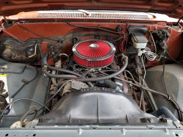 1983 Brown Chevrolet C-10