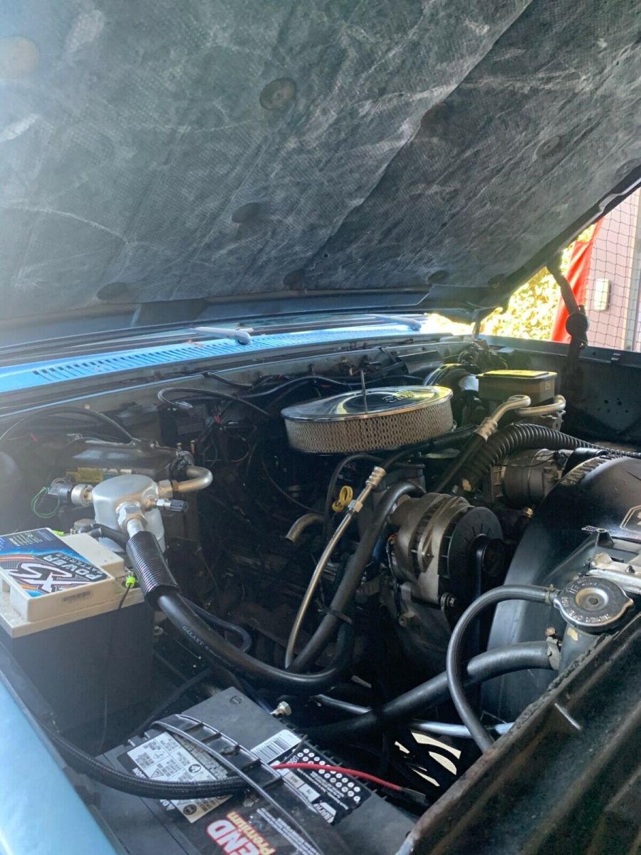 1983 Blue Chevrolet C/K Pickup 1500 Standard Cab Pickup