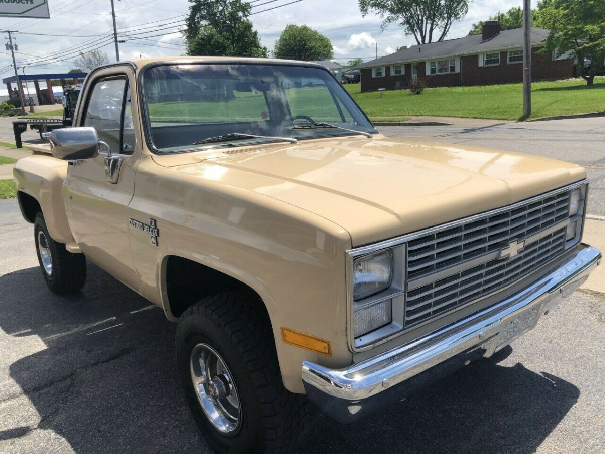 1983 Almond Chevrolet Other Pickups Standard Cab Pickup