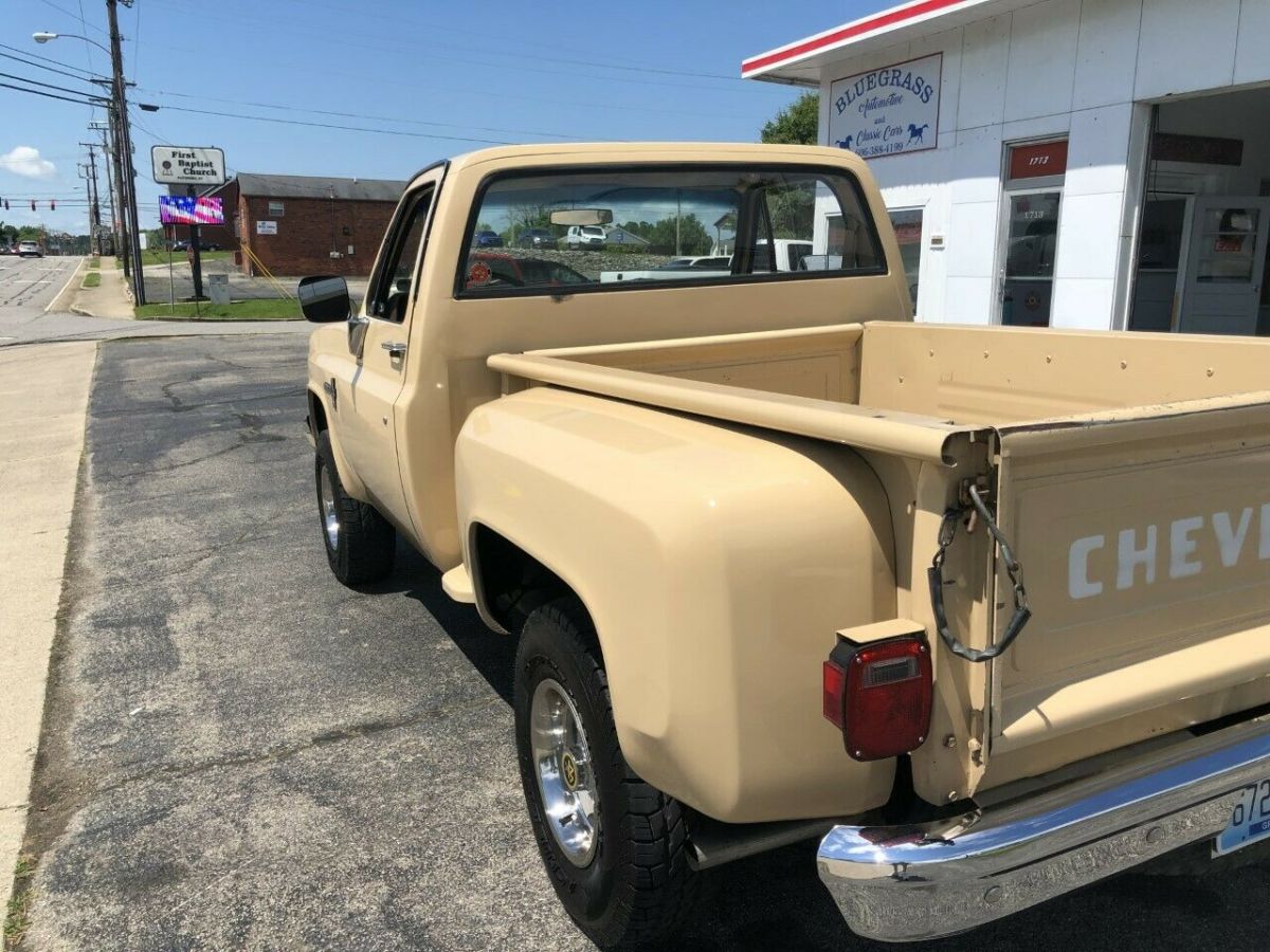 1983 Almond Chevrolet Other Pickups Standard Cab Pickup