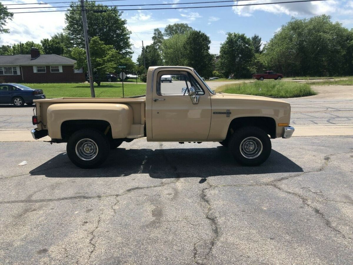 1983 Almond Chevrolet Other Pickups Standard Cab Pickup
