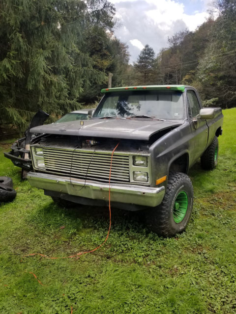 1983 Gray Chevrolet Other Standard Cab Pickup