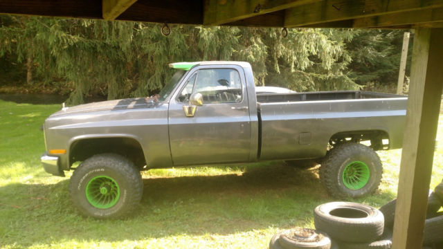 1983 Gray Chevrolet Other Standard Cab Pickup