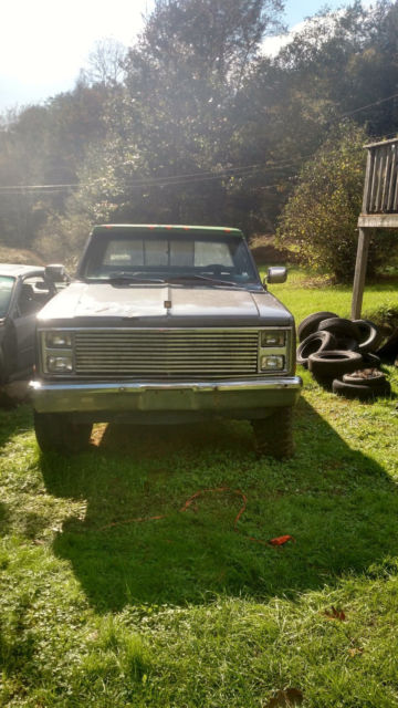 1983 Gray Chevrolet Other Standard Cab Pickup