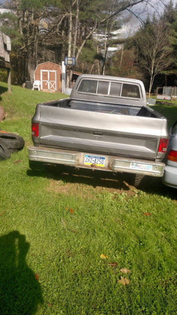 1983 Gray Chevrolet Other Standard Cab Pickup