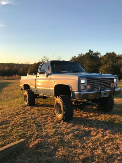1983 Blue Chevrolet C/K Pickup 1500 Standard Cab Pickup