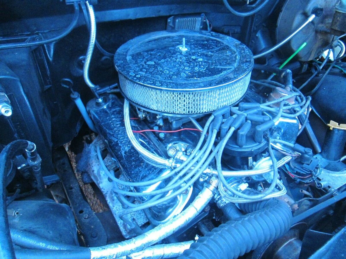 1983 Black Ford F-100