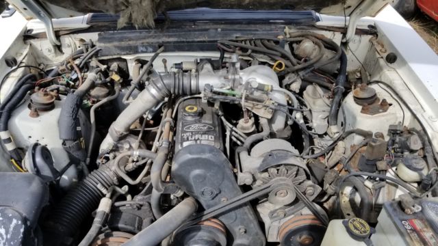 1983 White Ford Mustang Hatchback