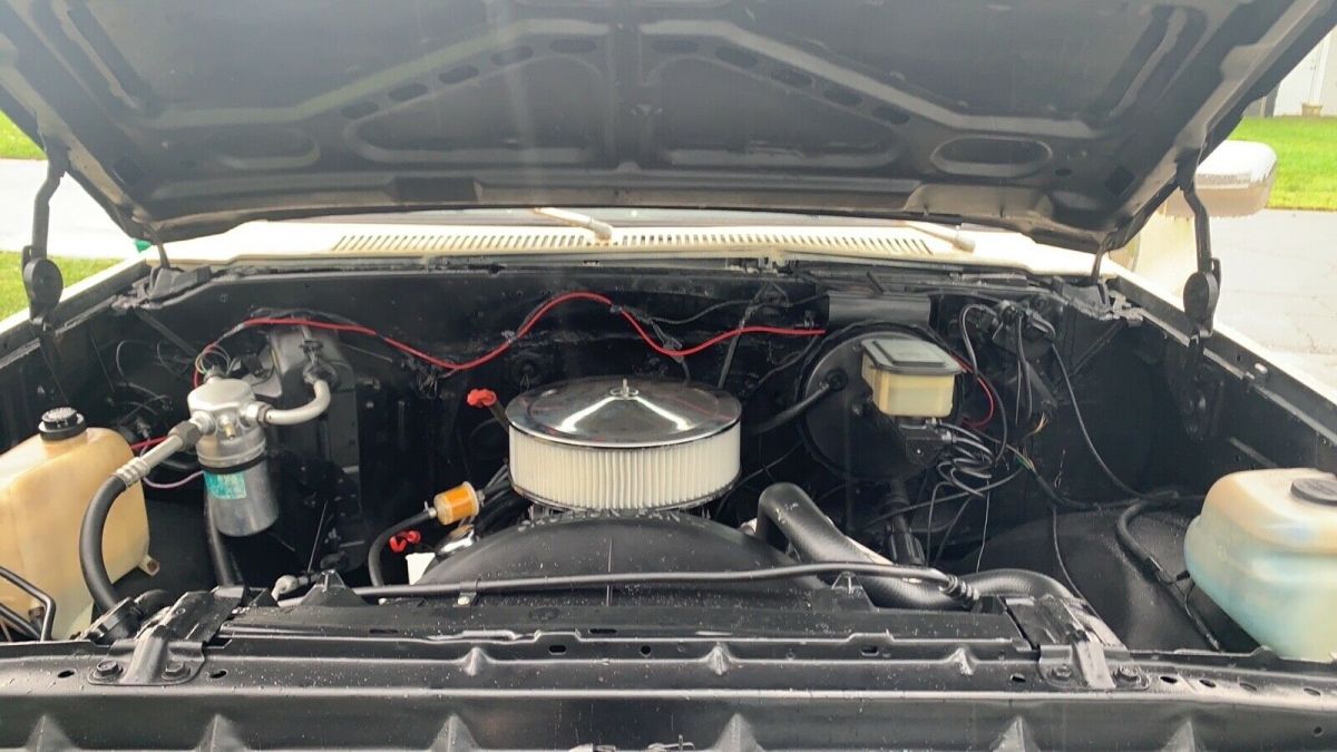 1983 Tan Chevrolet C-10