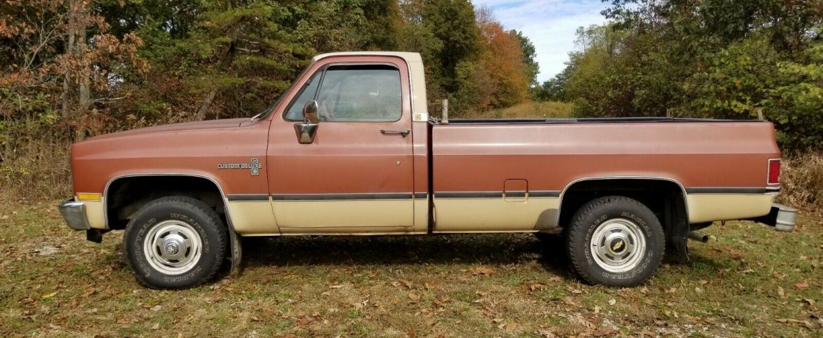 1983 Brown Chevrolet C/K Pickup 1500 Standard Cab Pickup