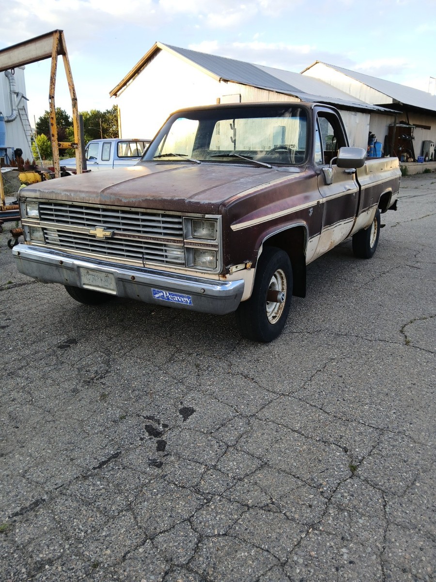 1983 Brown Chevrolet C/K Pickup 1500 Standard Cab Pickup