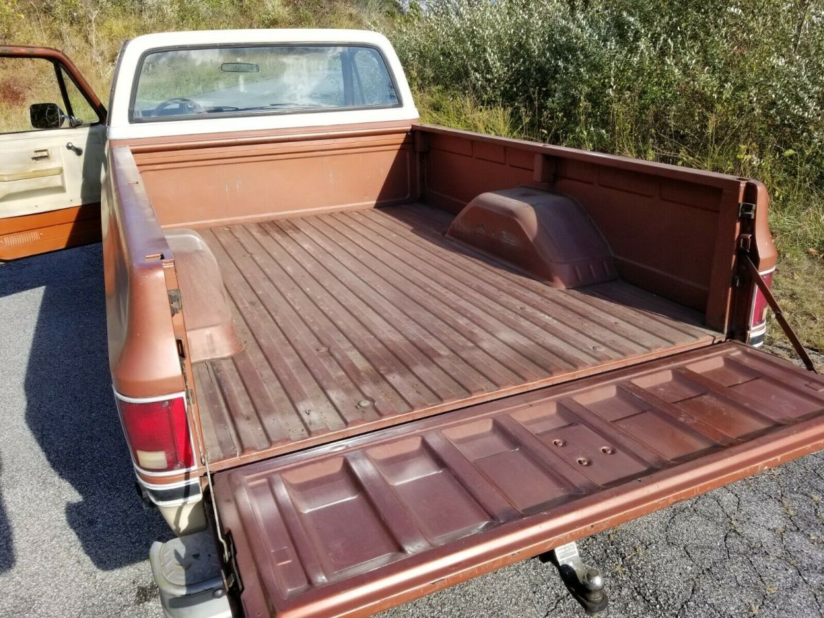 1983 Brown Chevrolet C/K Pickup 1500 Standard Cab Pickup