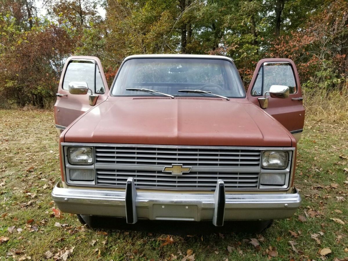 1983 Brown Chevrolet C/K Pickup 1500 Standard Cab Pickup
