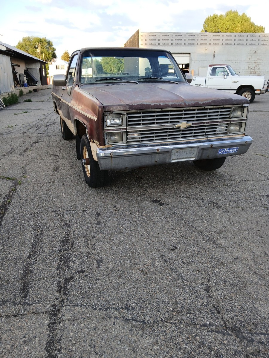 1983 Brown Chevrolet C/K Pickup 1500 Standard Cab Pickup