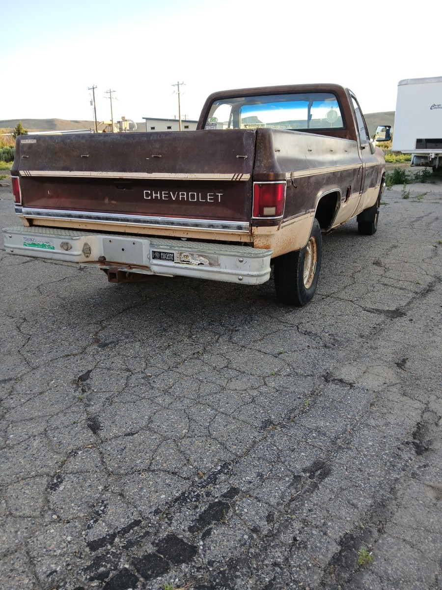 1983 Brown Chevrolet C/K Pickup 1500 Standard Cab Pickup