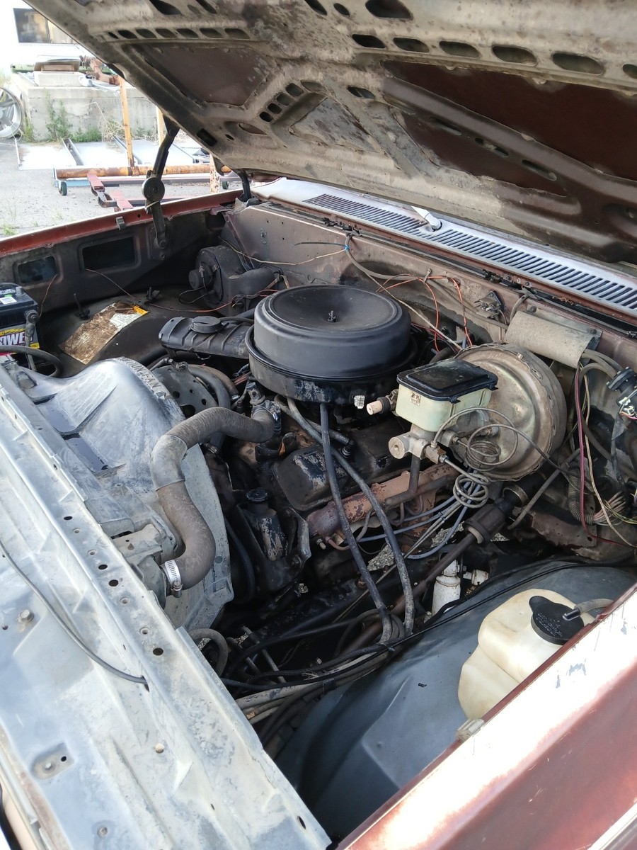 1983 Brown Chevrolet C/K Pickup 1500 Standard Cab Pickup