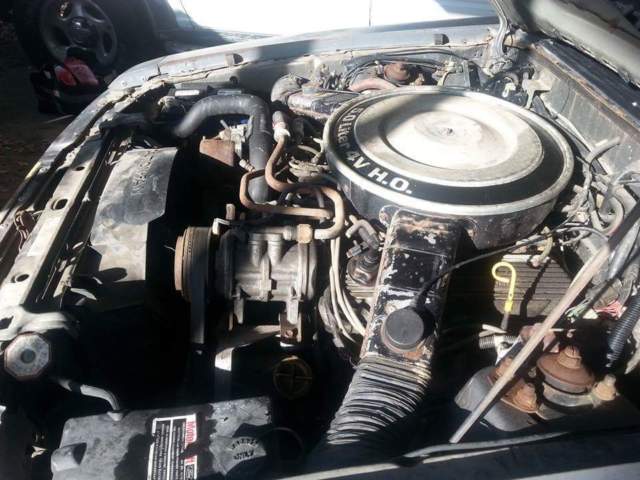 1983 Gray Ford Mustang Hatchback