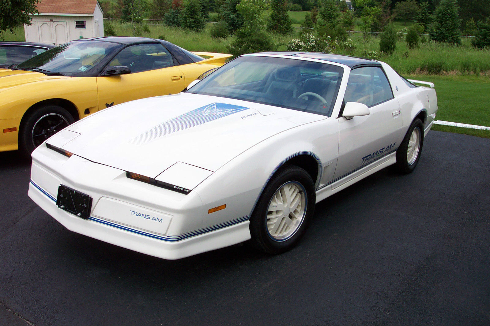 1984 15th Anniversary Trans Am for sale in Skillman, New Jersey, United ...