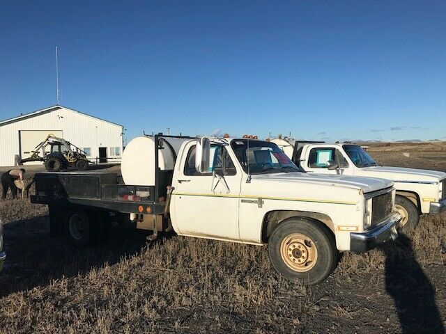 1984 White Chevrolet C/K Pickup 1500