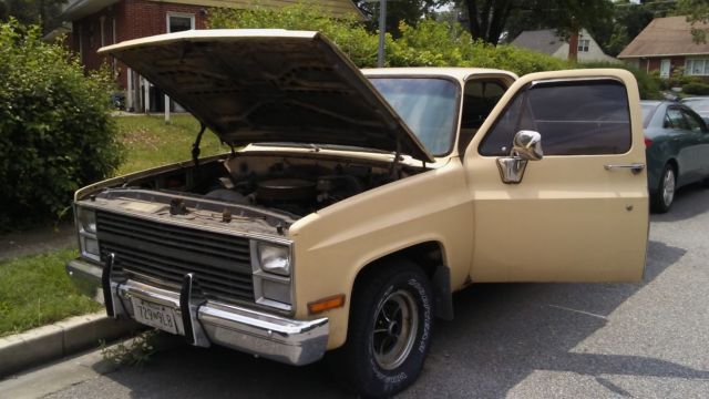 1984 Tan Chevrolet C-10 Crew Cab Pickup
