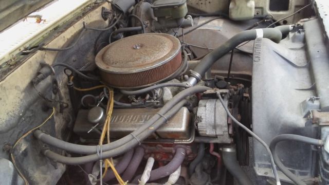 1984 Tan Chevrolet C-10 Crew Cab Pickup