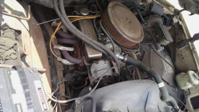 1984 Tan Chevrolet C-10 Crew Cab Pickup