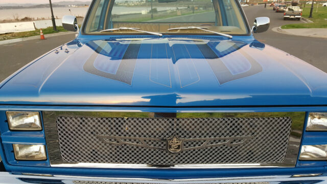 1984 Blue Chevrolet C-10 Standard Cab Pickup