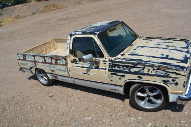 1984 Tan Chevrolet C-10 Standard Cab Pickup