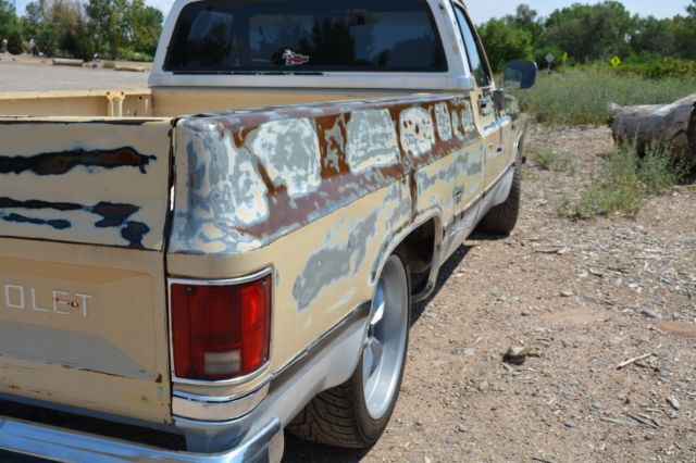 1984 Tan Chevrolet C-10 Standard Cab Pickup