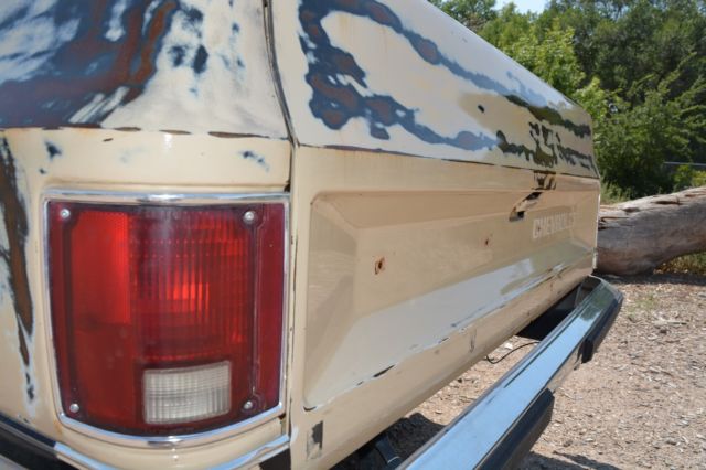 1984 Tan Chevrolet C-10 Standard Cab Pickup