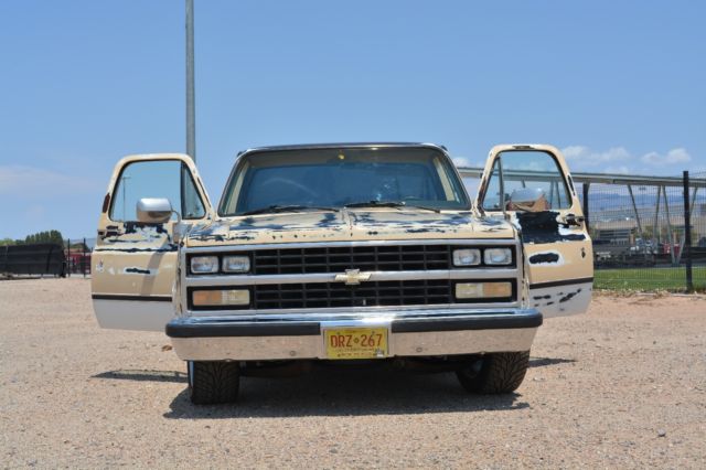 1984 Tan Chevrolet C-10 Standard Cab Pickup