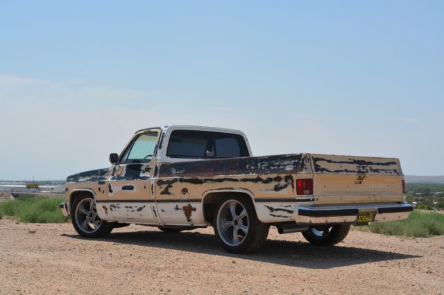 1984 Tan Chevrolet C-10 Standard Cab Pickup