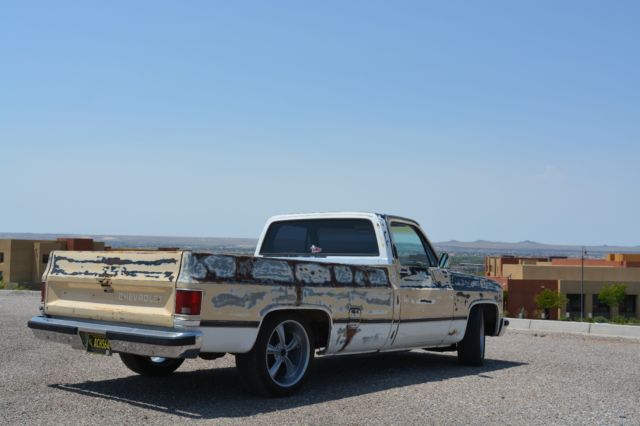 1984 Tan Chevrolet C-10 Standard Cab Pickup
